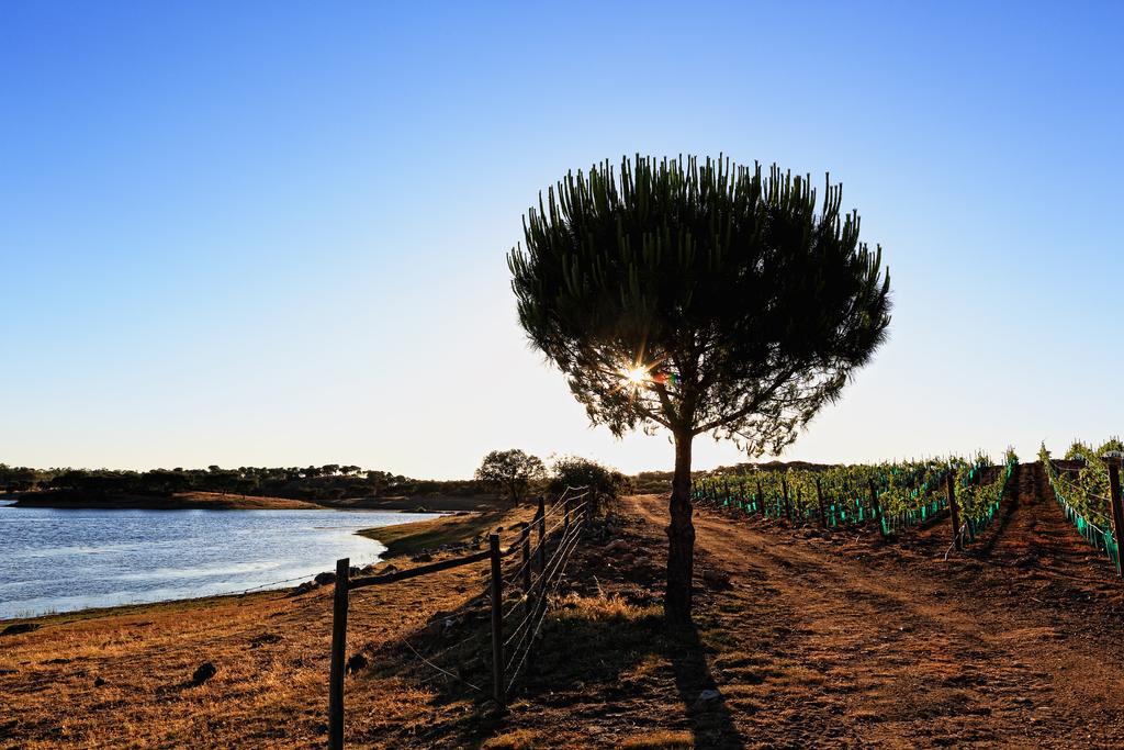 Herdade Da Calada Azaruja Exteriör bild