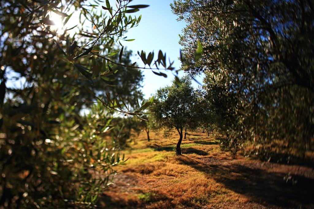 Herdade Da Calada Azaruja Exteriör bild