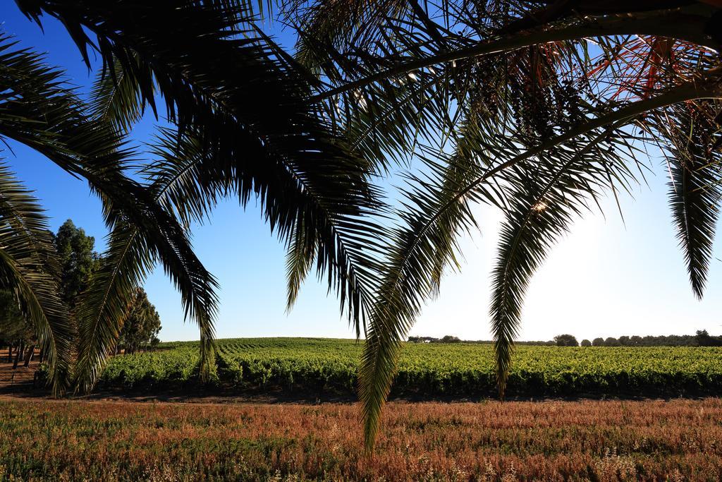 Herdade Da Calada Azaruja Exteriör bild