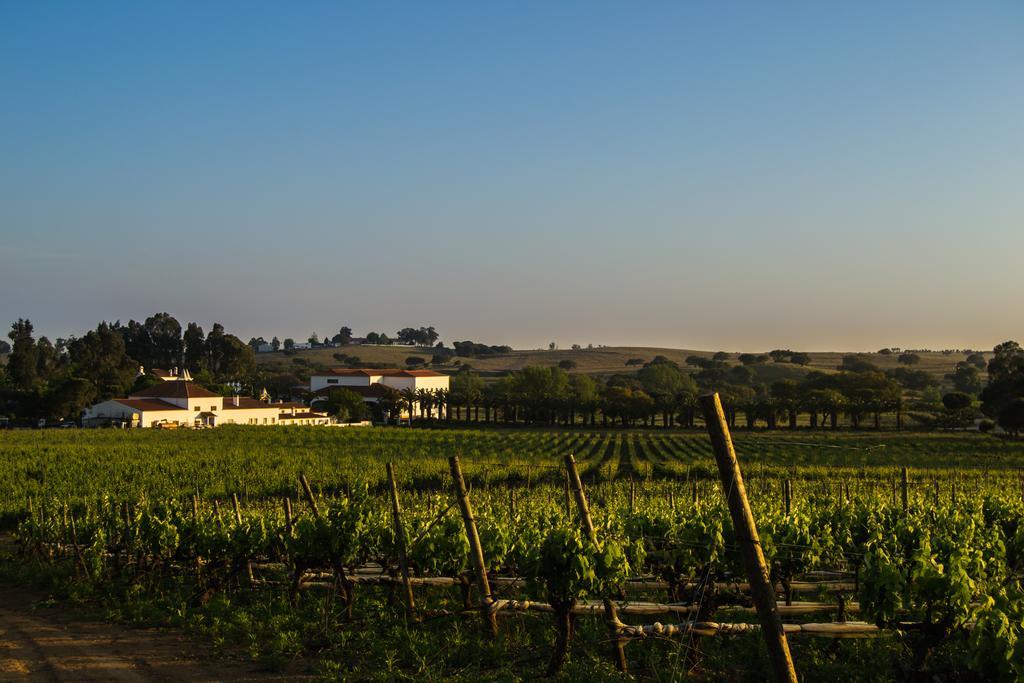 Herdade Da Calada Azaruja Exteriör bild