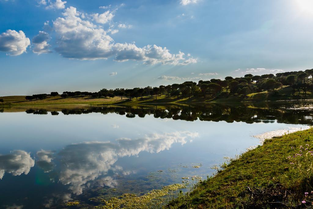 Herdade Da Calada Azaruja Exteriör bild