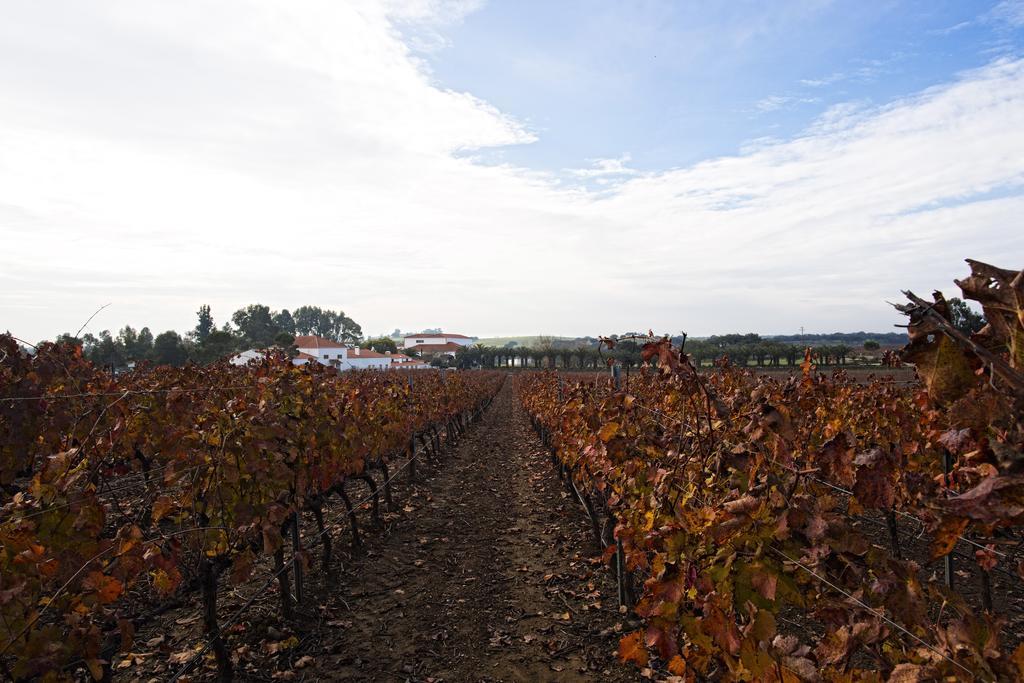 Herdade Da Calada Azaruja Exteriör bild